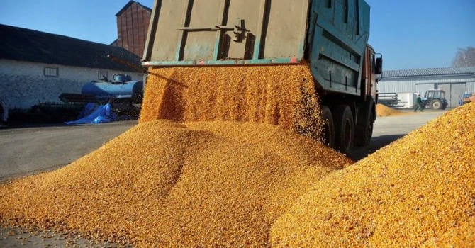 Cifra de afaceri din comerţul angro, în scădere în primul semestru. Ce sectoare au înregistrat cel mai mare declin