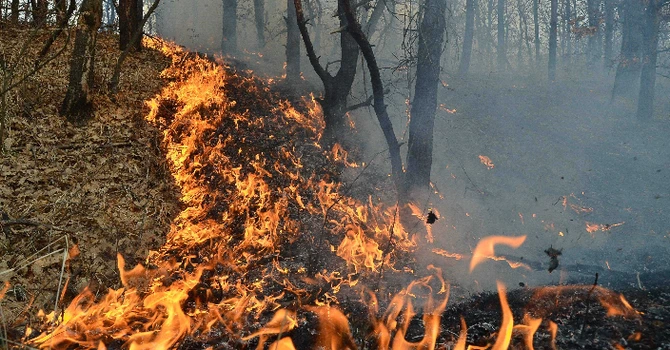 Patru incendii de vegetaţie uscată în Maramureș. Peste 45 de hectare afectate