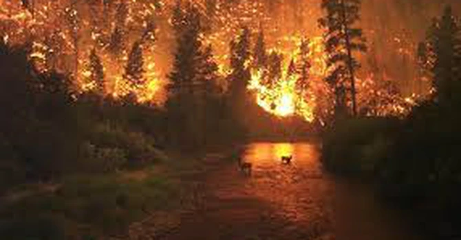 Incendii de amploare în Caraş-Severin
