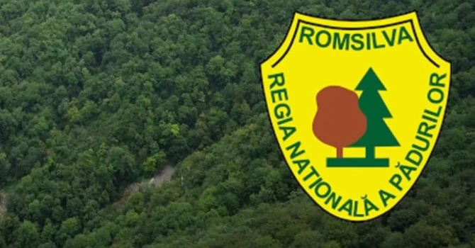 Ce spune Romsilva despre reorganizarea regiei – Anunţ oficial