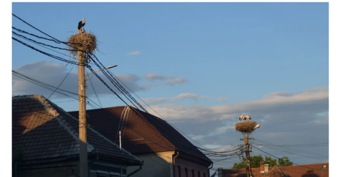 Autostrada Brașov – Făgăraș, aprobată azi în Guvern. Este mai importantă decât altele contractate până acum – fost ministru al Transporturilor