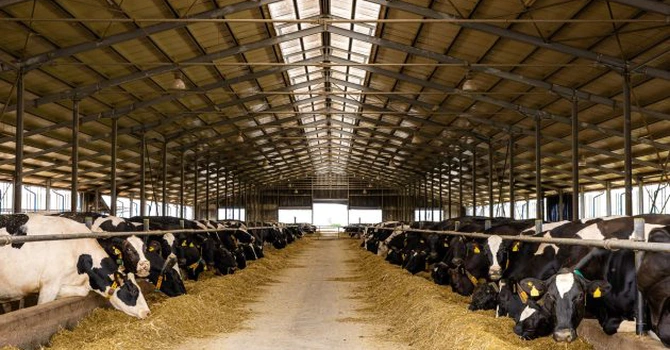 DN Agrar Group, cel mai mare producător de lapte din România, deschide noua unitate din ferma Lacto Agras şi se pregăteşte de listarea pe Piaţa Principală a BVB