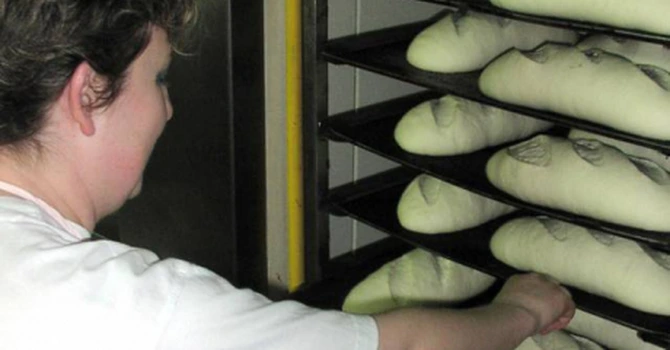 România este aproape de un blocaj pe piaţa formării profesionale – avertisment Sindalimenta