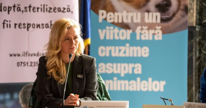 Studiu: Bunăstarea animalelor se vede în farfuria noastră: ouă mai gustoase și mai sănătoase de la găini crescute liber