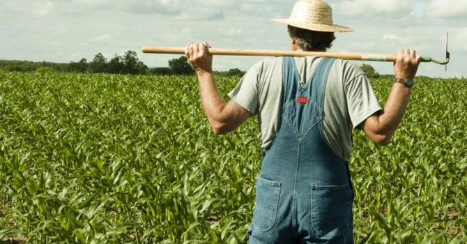 IMM România: Doar 30% dintre agricultori au reușit în 2025 să obțină finanțare europeană sau națională