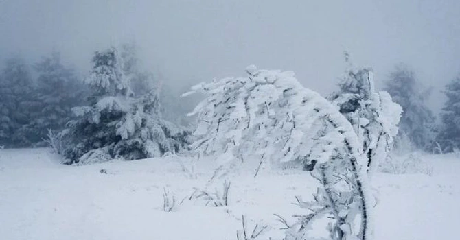 Cod roșu de viscol și ninsoare în România. Care sunt zonele afectate HARTĂ