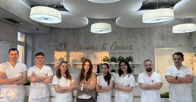 Grupul românesc PartnerVet cumpără spitalului Brains & Bones din București, specializat în neurochirurgie şi ortopedie veterinară
