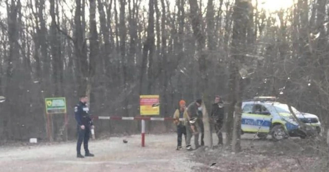 Ministerul Mediului: Extinderea drumului forestier din Pădurea Băneasa a fost realizată fără documentația legală și fără aprobări