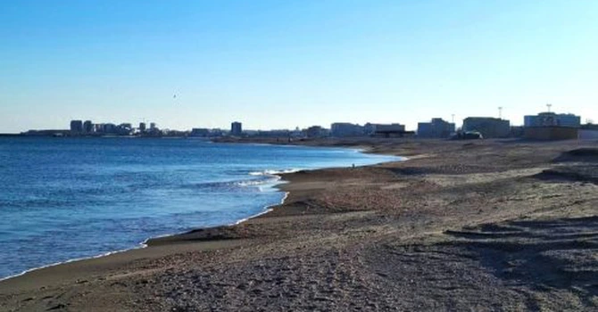 ANAR scoate la licitație pentru închiriere 58 de subsectoare de plajă la Năvodari