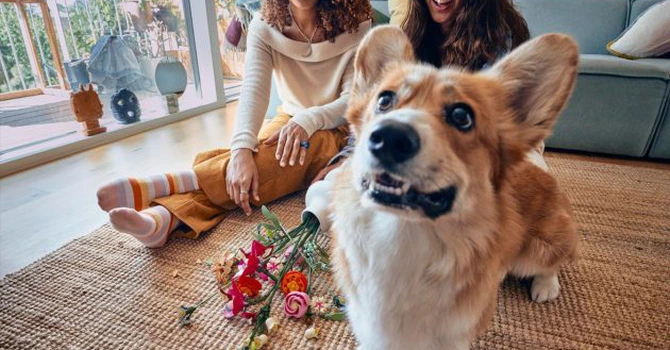 Florile rămân cadoul cu risc minim și impact maxim – studiu LEGO de Valentine’s Day