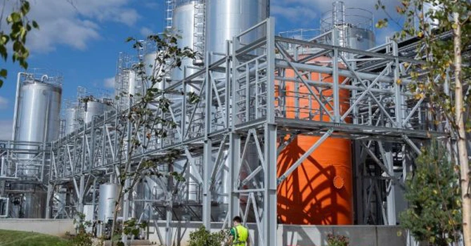 Majorare puternică de capital a gigantului american P&G în România. A adus peste 180 de milioane de lei la firmele sale din ţară