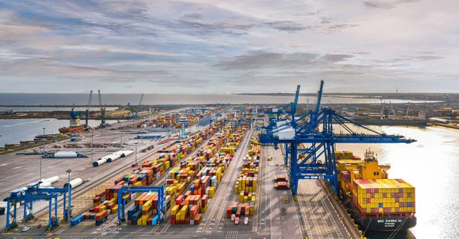 Compania DP World din EAU plantează „păduri subacvatice” pentru restaurarea costieră din zona Constanța South Container Terminal (VIDEO)