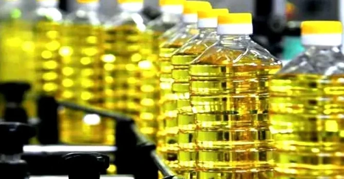 România produce ulei de floarea-soarelui din semințe argentiniene. Suntem cel mai mare importator european în acest an agricol