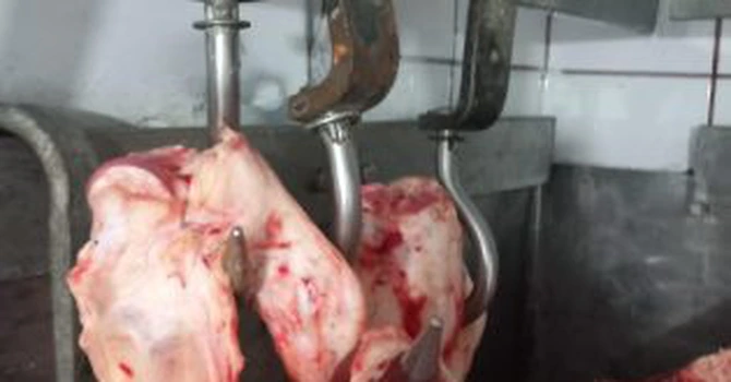 ANPC a verificat peste 1.000 de operatori economici în intervalul 6-9 aprilie. Instituția a dat 788 de amenzi