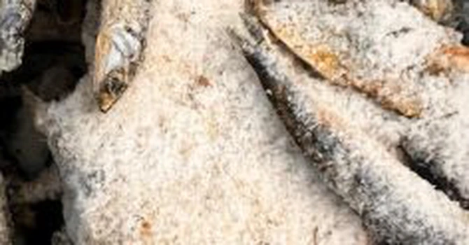 Controale ANPC la peste 1.300 de operatori economici în perioada 20 – 24 aprilie. Inspectorii au dat 869 de amenzi