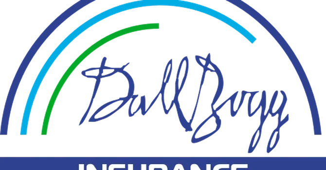 Ce spune Dallbogg, cu RCA vândut în România, despre interzicerea sa în Bulgaria și restul Europei