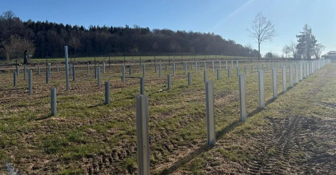 Românii de la Parapet s-au apucat de construcția unui nou parc fotovoltaic din Germania FOTO