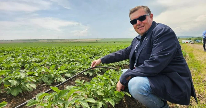 Probleme la vârful Grup Șerban Holding. Interagroaliment, care a concediat recent 26 de angajați, și-a cerut insolvența