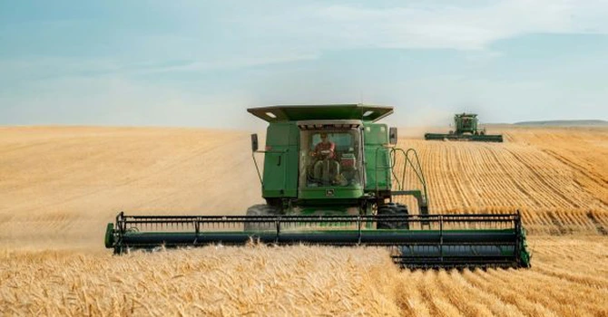 Toate cooperativele agricole românești fac de 3,7 ori mai puțini bani decât Lidl, cel mai mare lanț de magazine după cifra de afaceri din 2026