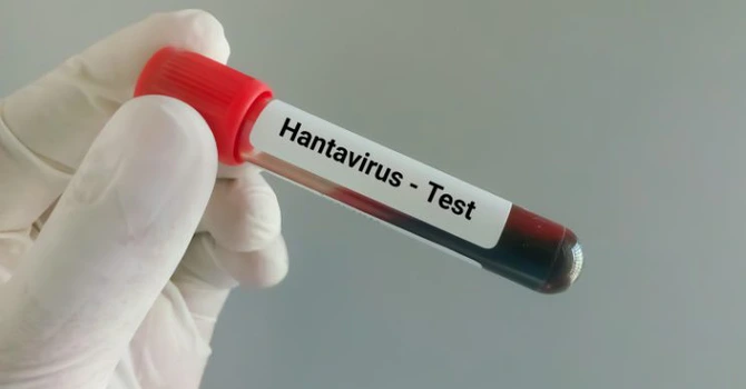 Hantavirus în România. Medicii vin cu o veste bună: Persoana infectată din Arad nu a contractat recent virusul ci era cronic