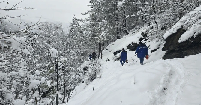DEER extinde beneficiile acordate angajaților prin asigurări voluntare de sănătate