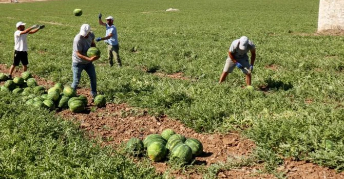 Criză pe piața forței de muncă din Grecia. Angajații străini părăsesc țara în număr mare