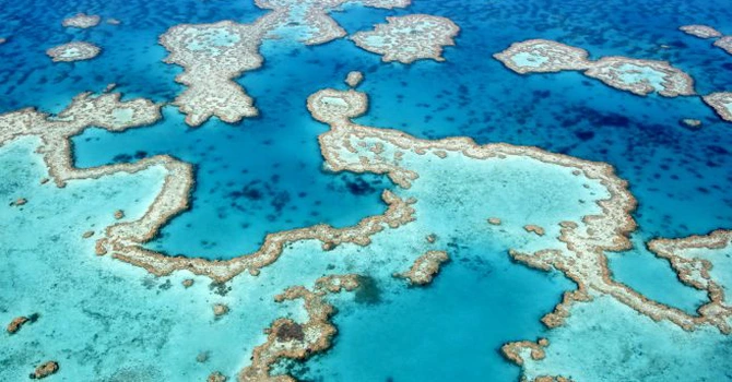 UNESCO își exprimă îngrijorarea absolută cu privire la starea Marii Bariere de Corali din Australia, dar nu introduce reciful pe lista „patrimoniului mondial în pericol”