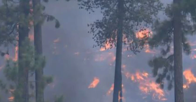 Stare de urgenţă în Spania din cauza incendiilor de vegetaţie. Franţa cere ajutorul UE
