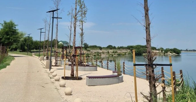 FOTO Promenada Lacul Morii. Scandal cu arborii plantați: „Din păcate, majoritatea nu s-au prins”. Răspunsul ADPDU S6