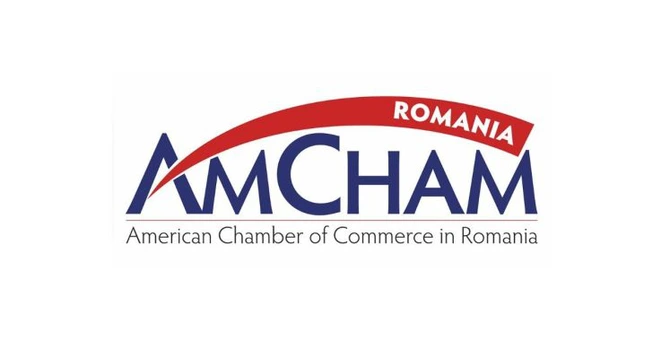 AmCham: Fitch menţine ratingul, dar au rămas îngrijorări privind instabilitatea politică şi încetiniriea reformelor