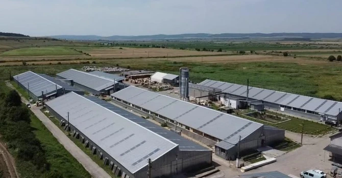 Roca Industry blochează plata pentru preluarea a 30% din compania Workshop Doors, în urma unui audit care i-a trezit „întrebări legitime”