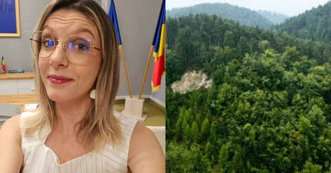 Diana Buzoianu: România a depăşit ţintele PNRR pentru păduri. Anunţ de la Ministerul Mediului despre zonele cu cele mai mari suprafeţe împădurite