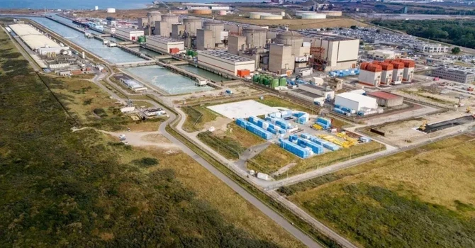 Meduzele au oprit trei reactoare ale unei centrale nucleare din Franţa