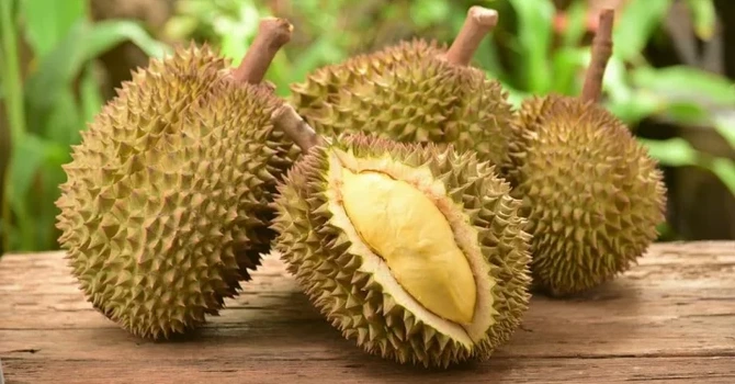 Vietnam – Fermierii înlocuiesc cafeaua cu durianul pentru a satisface cererea chineză