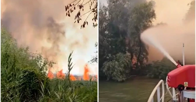 Incendiu puternic în Delta Dunării. Există pericol de propagare la fondul forestier