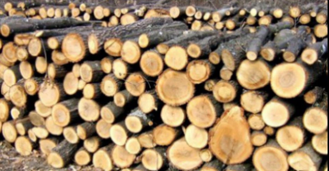 Romsilva – Cât lemn a vândut direct către populaţie  Regia Naţională a Pădurilor