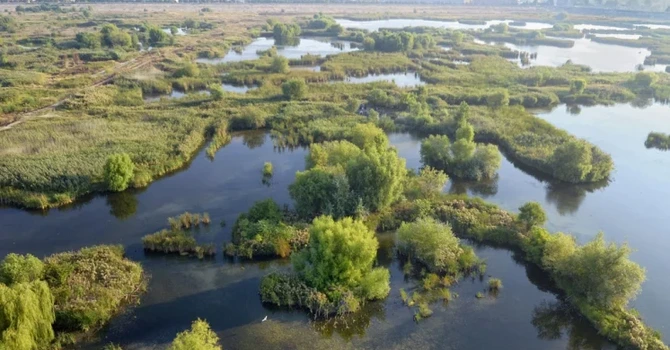 Tururi ghidate gratuite pentru familii în Parcul Natural Văcăreşti, azi