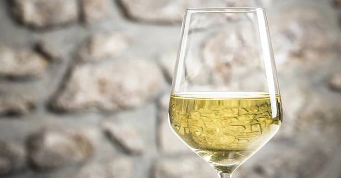 Criză în Franţa – Cel mai mic nivel din acest secol pentru producţia de vin