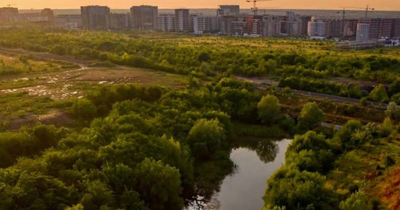 Asociația Parcul Național Văcărești schimbă strategia din cauza modificării climei din ultimii ani
