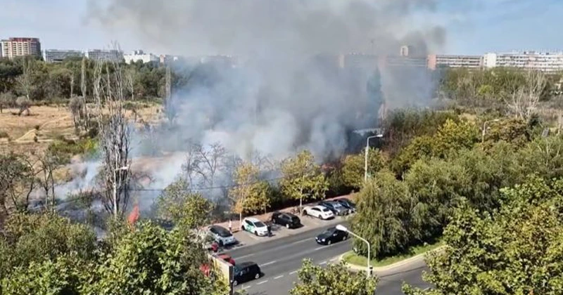 Incendiu masiv de vegetație în Cipru. Două persoane și-au pierdut viața