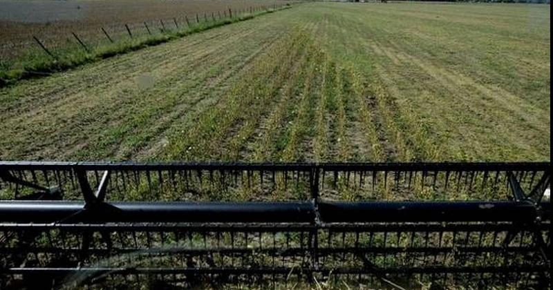 Fermierii români ar putea pierde fonduri UE de 17,4 miliarde de euro dacă bugetul alocat Politicii Agricole Comune va rămâne cel propus recent