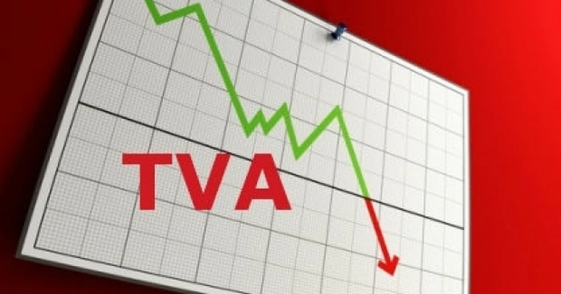 E-factura nu a rezolvat nici pe departe problema gap-ului de TVA, dar a creat o economie națională mai eficientă. Colectarea TVA a crescut doar cu 15% după implementarea e-factura