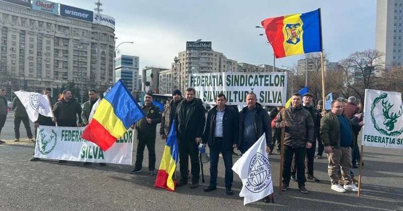 Sindicaliștii din silvicultură îi transmit ministrului Mediului, Diana Buzoianu, că reorganizarea Romsilva nu se poate face unilateral, fără consultarea tuturor actorilor implicați