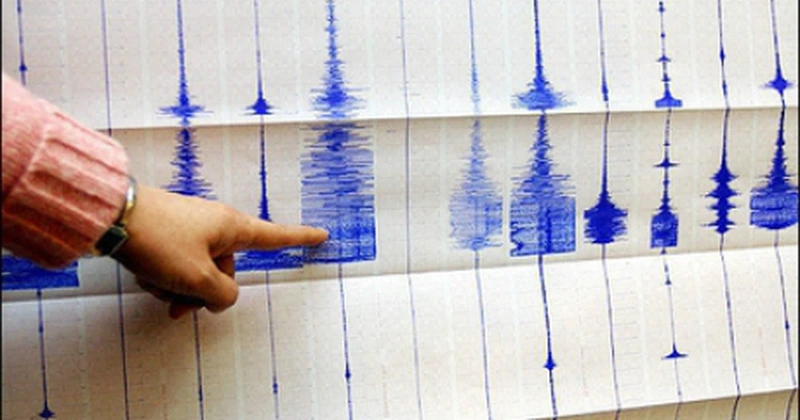 Cutremur de 4 în Vrancea, la ora 04.42