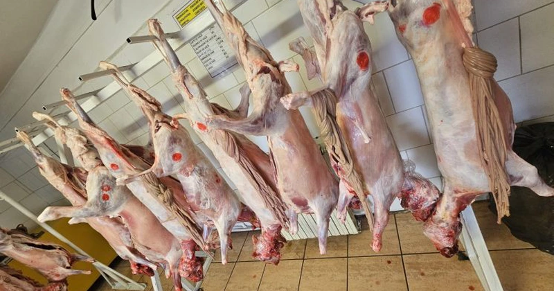 Sănătatea publică și siguranța alimentară sunt priorități strategice ale ANSVSA și nu există loc pentru compromisuri – Alexandru Bociu, președinte ANSVSA