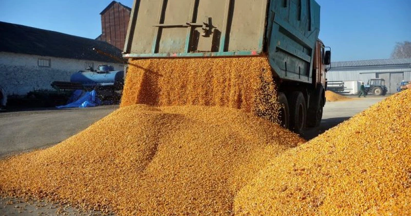 Cum a evoluat Grânarul Europei în 2025 – Câte cereale şi produse pe bază de cereale a exportat România în primele patru luni din acest an (date oficiale INS)