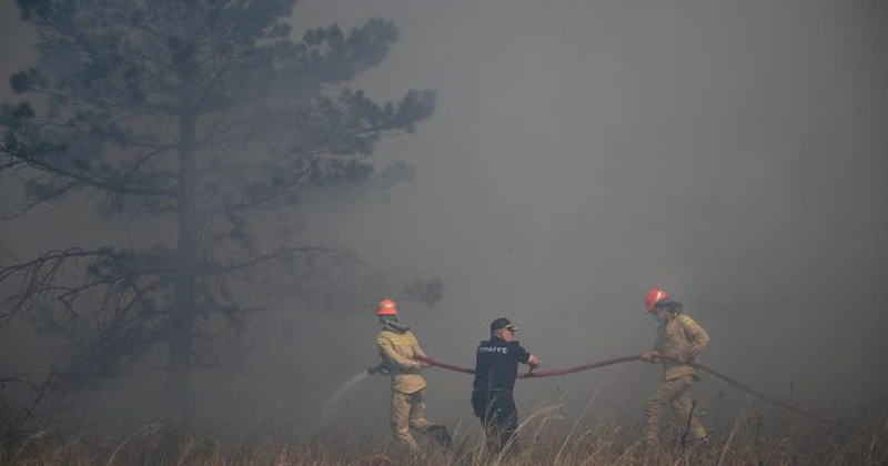 Bulgaria se confruntă cu peste 230 de incendii de vegetaţie
