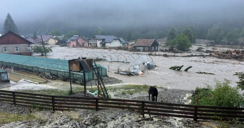 Firmele de asigurări din România au plătit anul trecut 21 de dosare de daune în fiecare zi ca urmare a furtunilor și inundațiilor