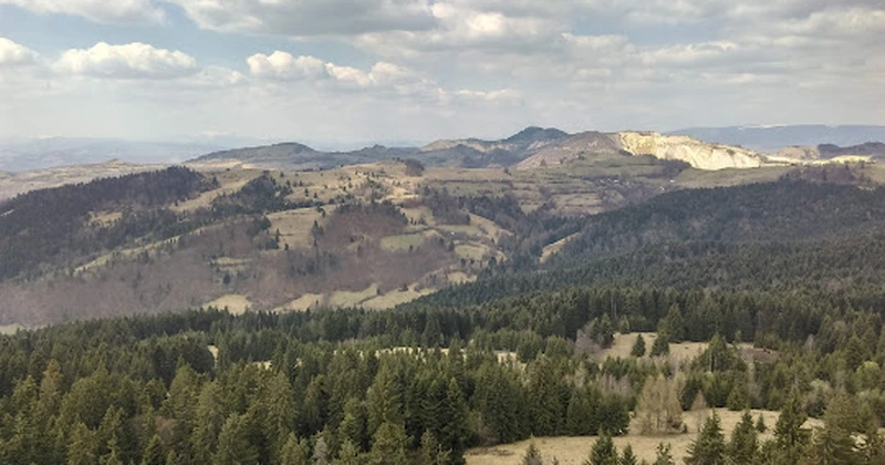 ANAF a demarat acțiunile de recuperare a creanțelor bugetare de peste 46 de milioane de lei de la Gabriel Resources Limited