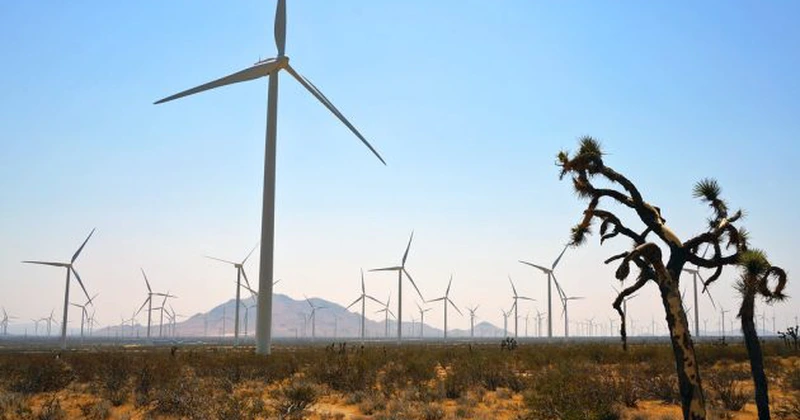 Producția de energie regenerabilă din SUA a atins valori record în 2025, în ciuda ostilității administrației Trump față de acest sector